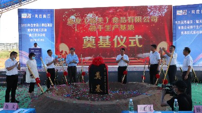 ����long8���޹�˾�ع��������ص�ڨ��ʽԲ���ֳ���