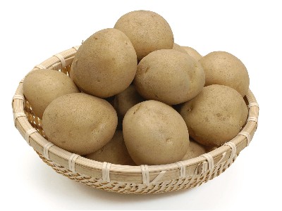 �����ʴ�����������1MM�������ɵ������������