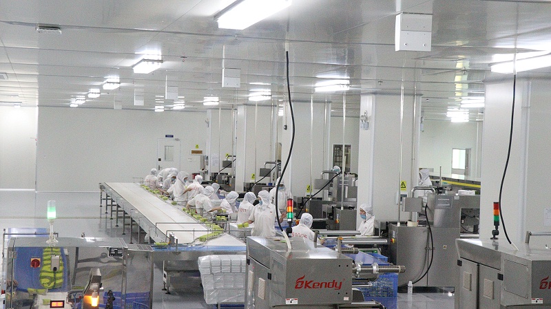 ����long8��������