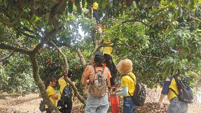 ���縣��������long8��֯ժ��֦�